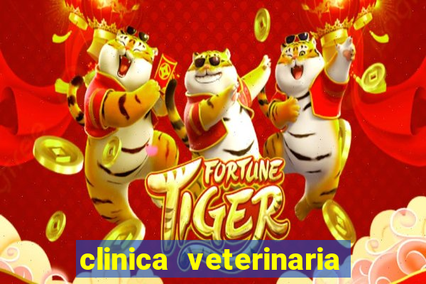 clinica veterinaria cuidar betim